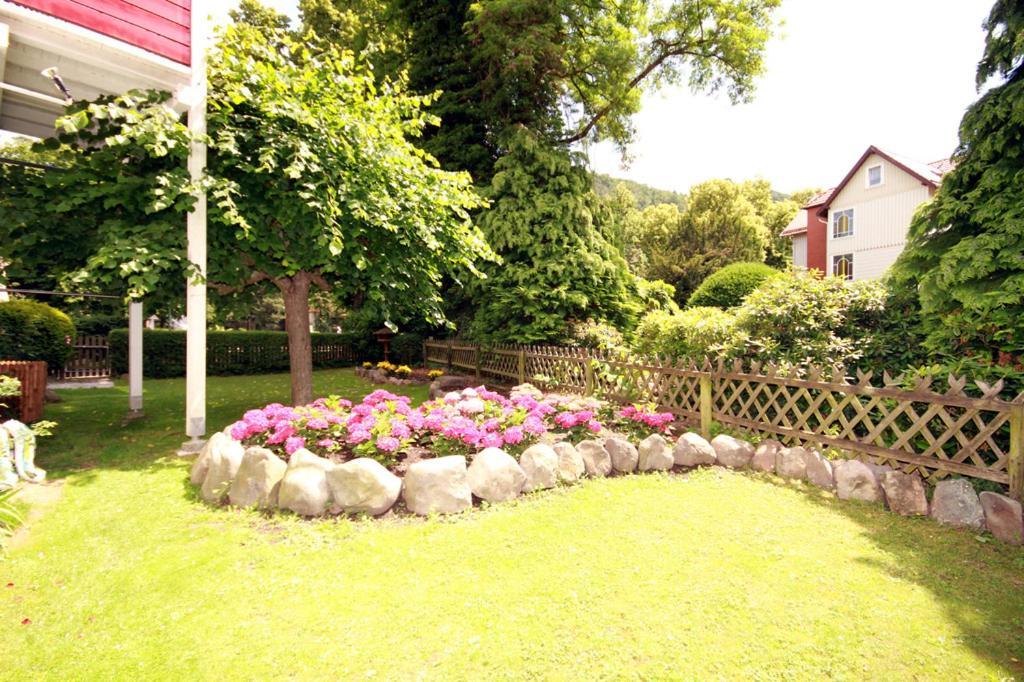 Villa Feise Bad Harzburg Extérieur photo